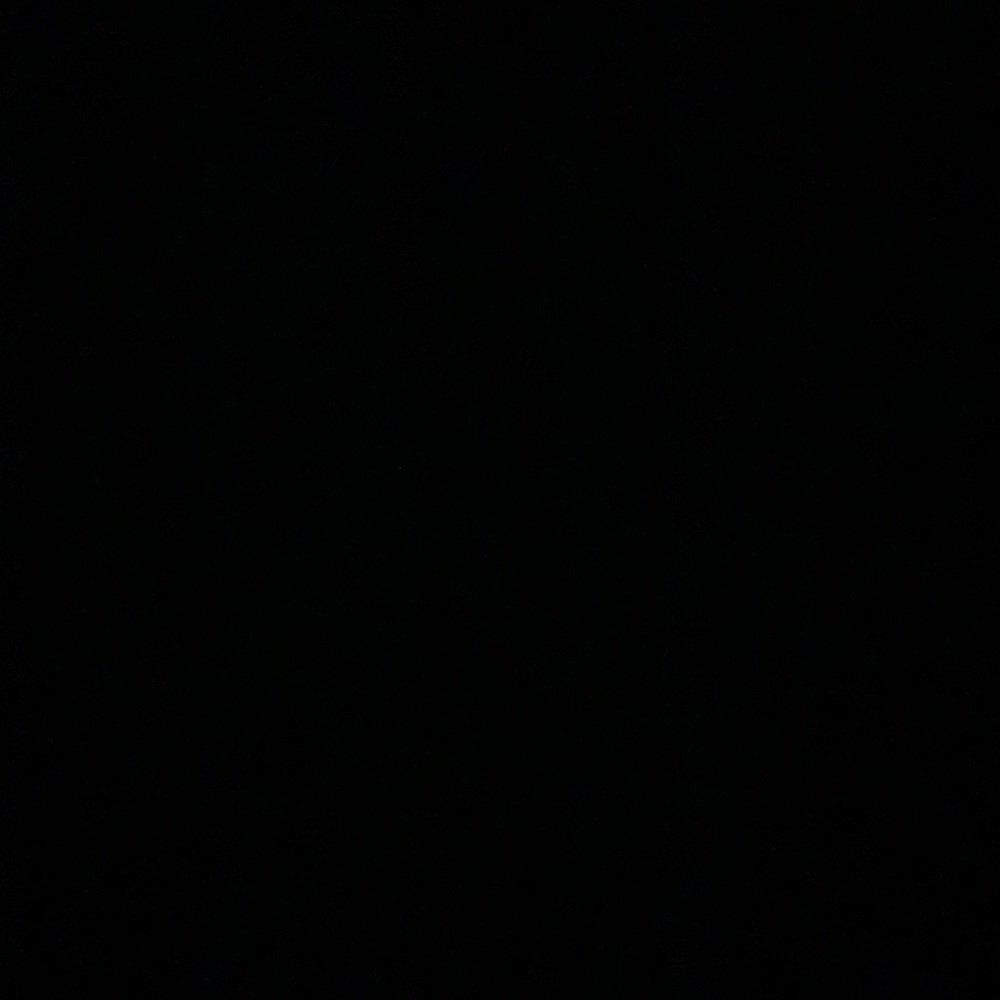 Meet your Posher, Isabel